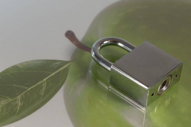 pixabay_schloss_apfel-1280