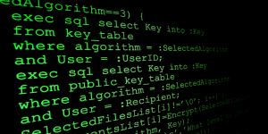 Welche Möglichkeiten bietet die Programmiersprache Perl? 3 Perl