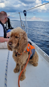 In eigener Sache: Biteno goes Ostsee 17 IMG 20220704 WA0112
